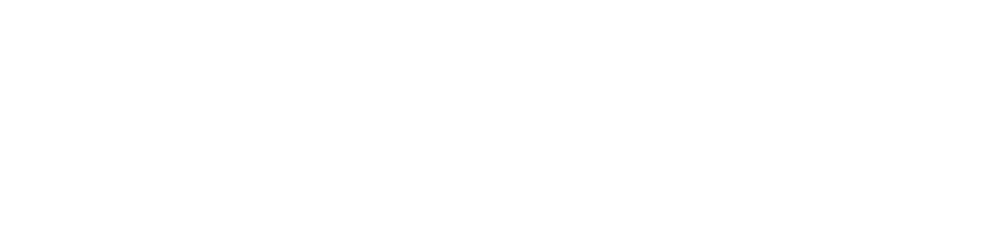 Stone Meridian Consulting Group